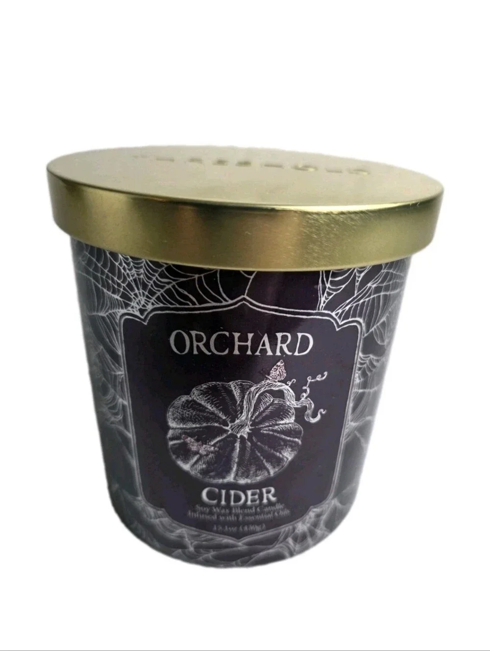 SPIDERWEB Halloween ORCHARD CIDER 2 Wick CANDLE 15.1 oz LIMITED ED Threshold NEW